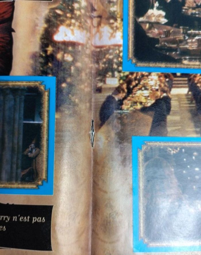 Album panini Harry Potter et la chambre des secrets - photo numéro 9
