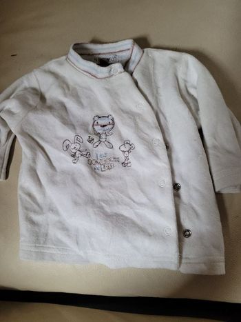 Sweat velours in extenso 3 mois