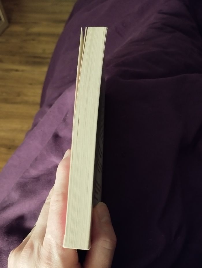 Livre de noël - photo numéro 4