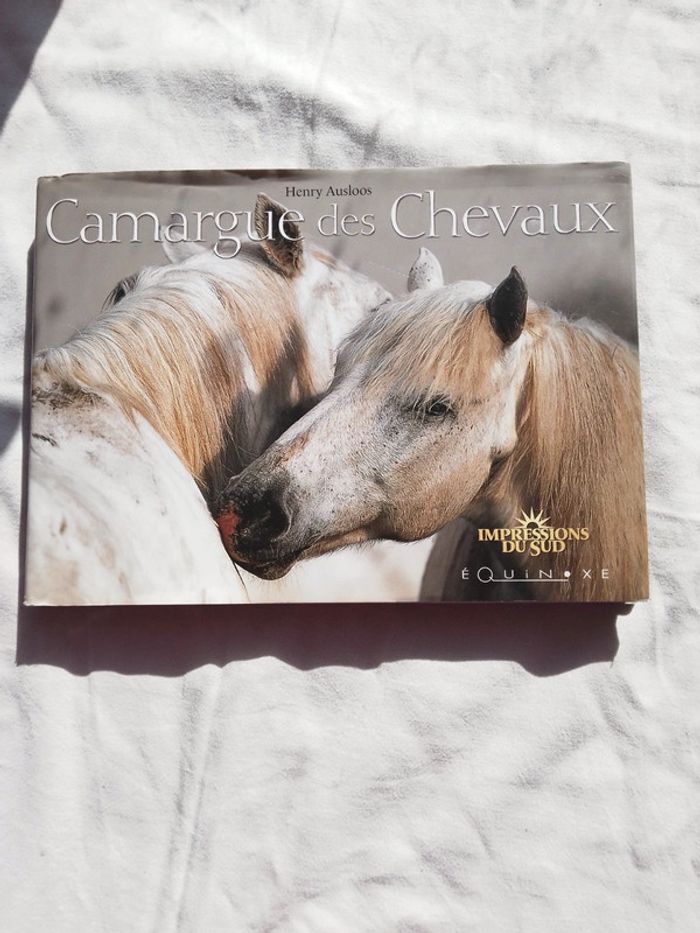 Camargue des chevaux