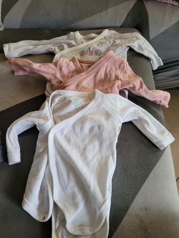 Lot 3 bodys