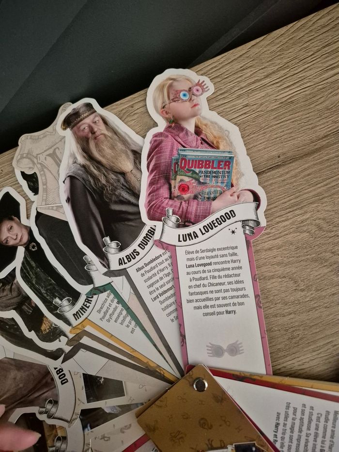 Harry Potter - Mes portraits collector - photo numéro 4