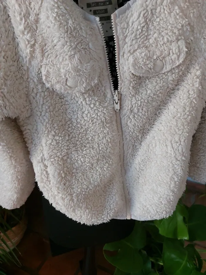 Veste - photo numéro 5