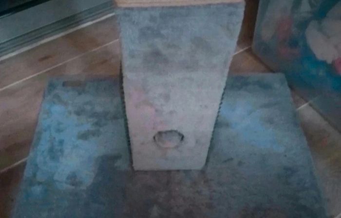 Griffoir zoomalia - photo numéro 2