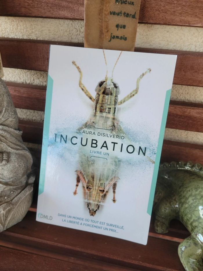 Livre "Incubation" de Laura Disilverio