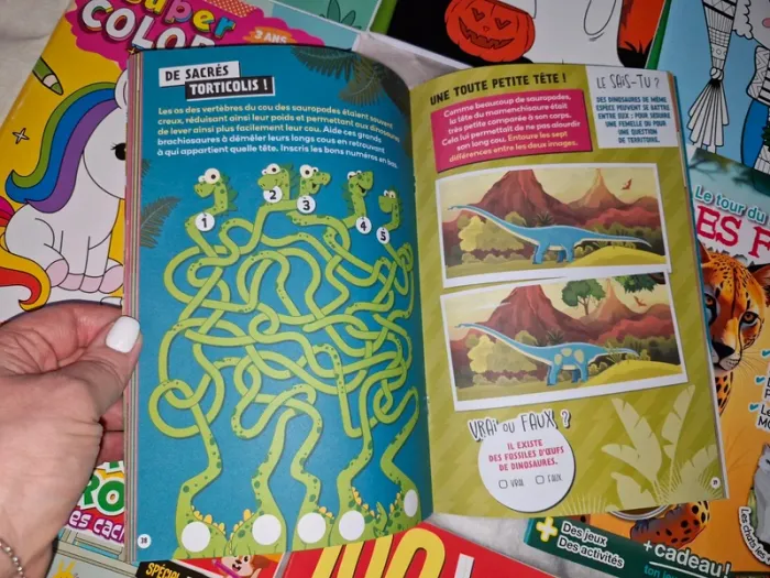 Lot de 11 livres de jeux, coloriage, lecture pour enfants - photo numéro 16