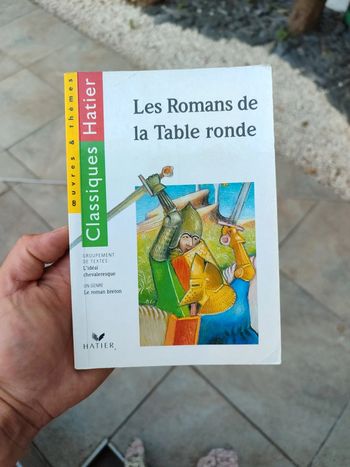 Les romans de la table ronde