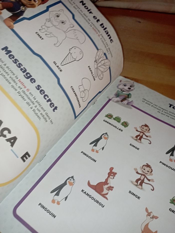 Livre d'activité pat patrouille - photo numéro 6