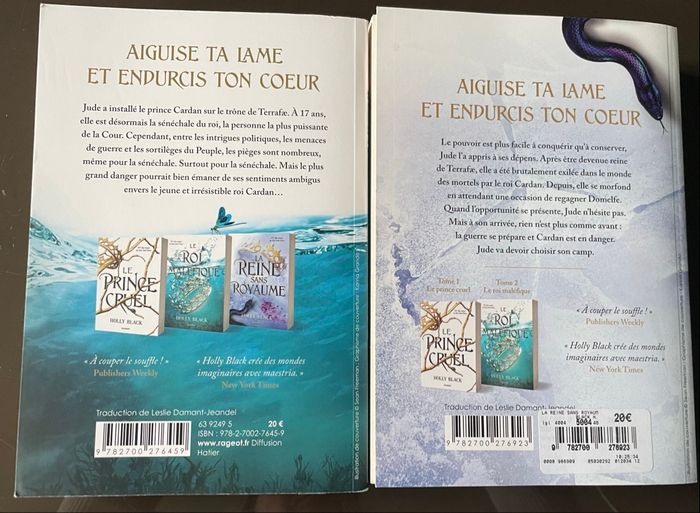 Le roi maléfique.–la reine sans royaume - photo numéro 3