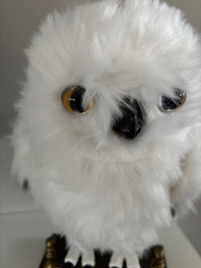 Hedwige - photo numéro 6