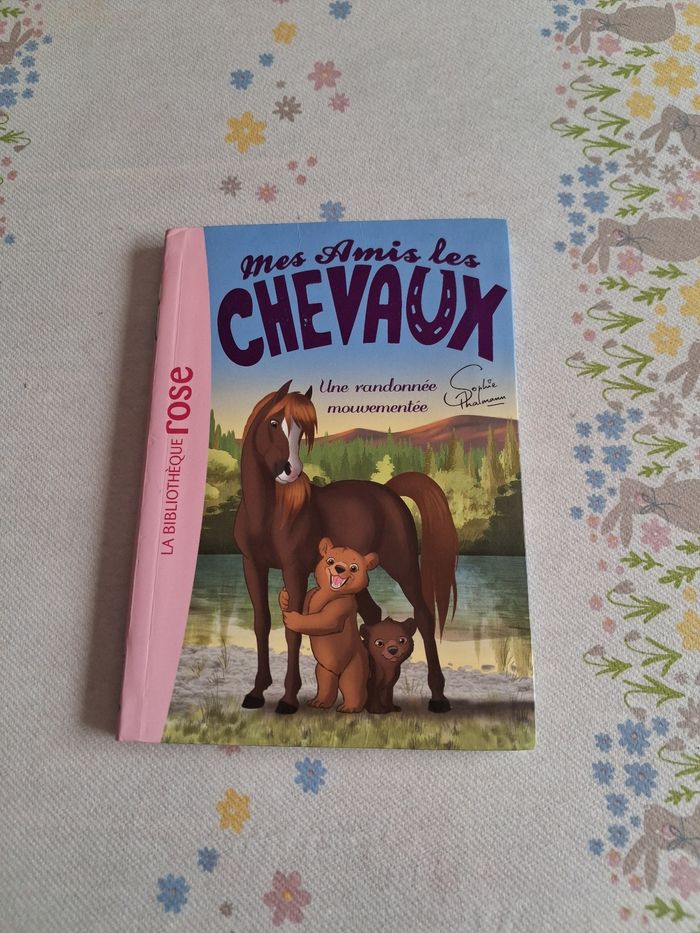 Livre mes amis les chevaux tome 5 - photo numéro 1