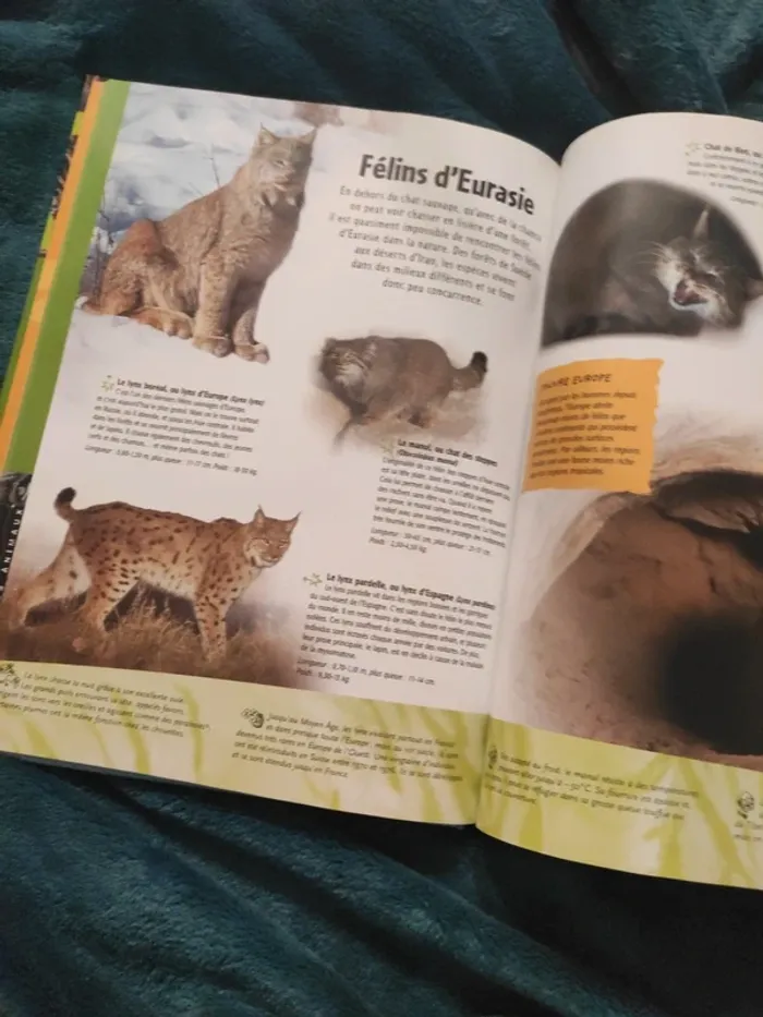 Livre sur les traces des félins - photo numéro 3