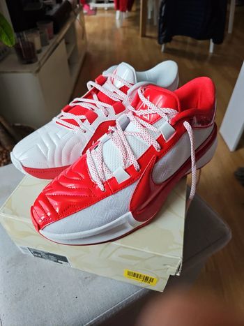 🔥Giannis Zoom Freak 5 ASW T.42.5🏀