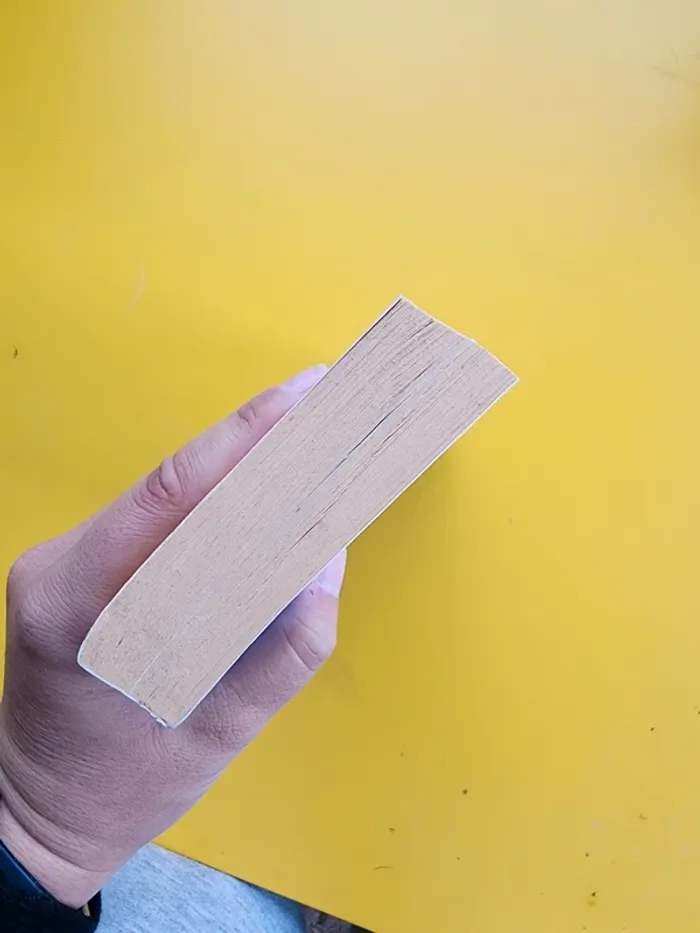 Livre de poche "l'œil du témoin" de Sharon Sala - photo numéro 3