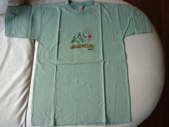 T-shirt kaki clair Taille 10/12 ans