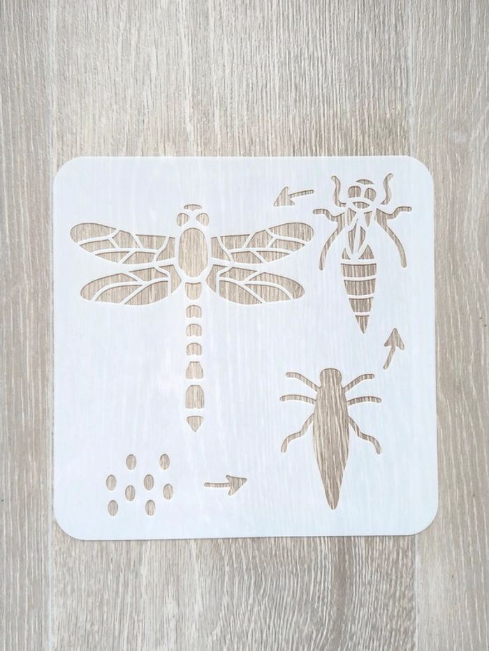 Pochoir du cycle de vie de la libellule