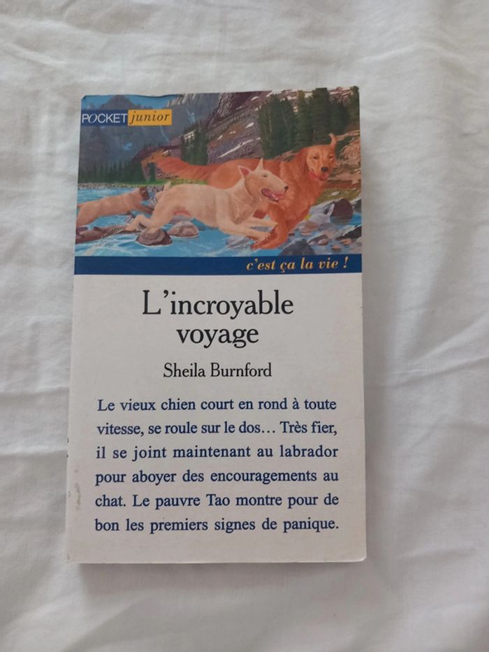 L'incroyable voyage