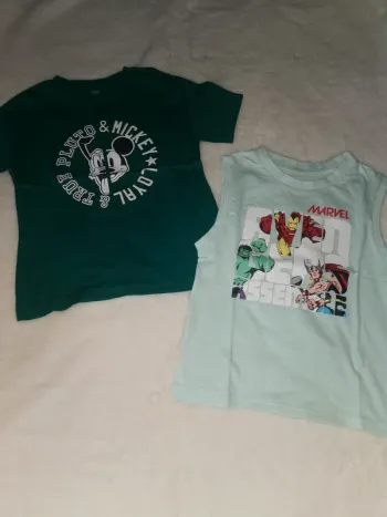Lot de 2 tee-shirts taille 4 ans