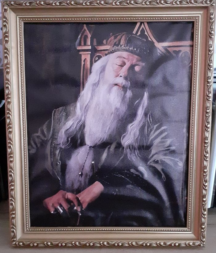 Cadre Harry potter Dumbledore dans cadre ancien