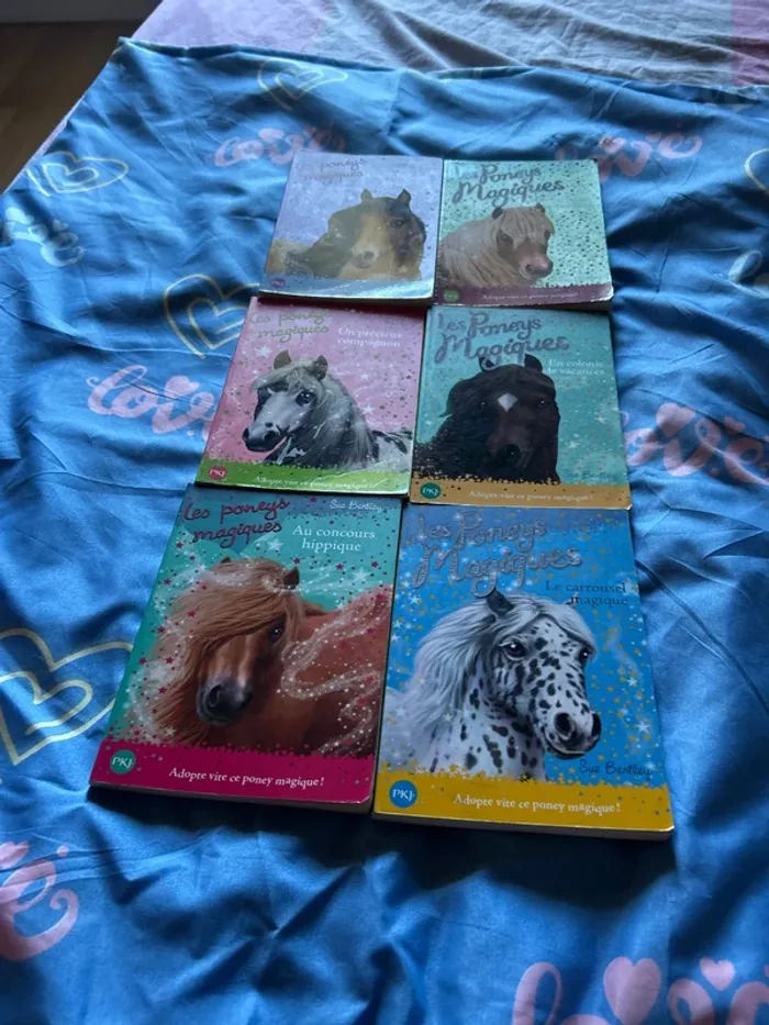 Les poneys magiques - photo numéro 2