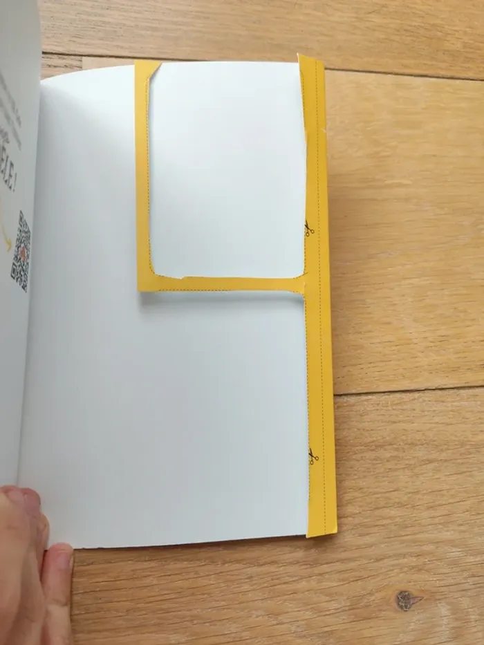 livre mortelle adèle V.I.B - photo numéro 3
