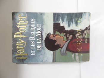 Harry Potter - Tome 7 Les Reliques de la Mort (Grand format)