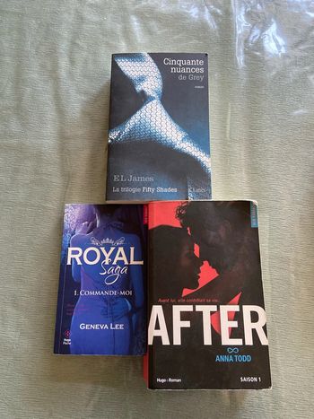 Lot de 3 romans en français