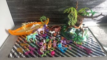 Lot féerique playmobil