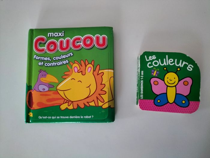 2 livres enfant sur les couleurs