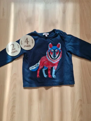 Tee shirt manche longue 24 mois