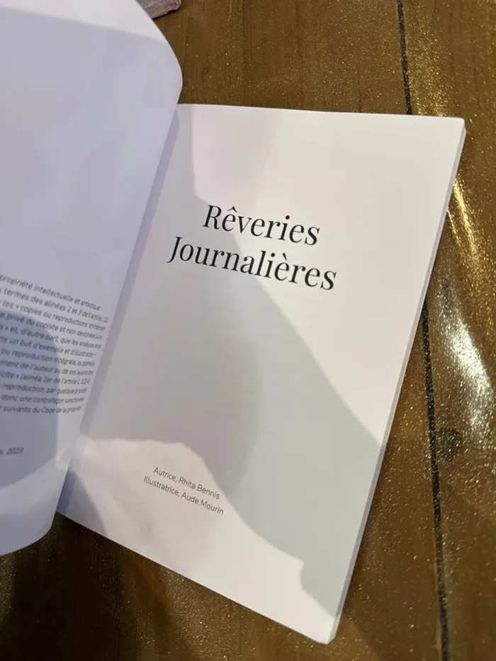 Livre rêverie, journalières - photo numéro 4