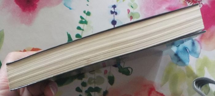 A charge de revanche de James Grippando Ed. France Loisirs - photo numéro 4