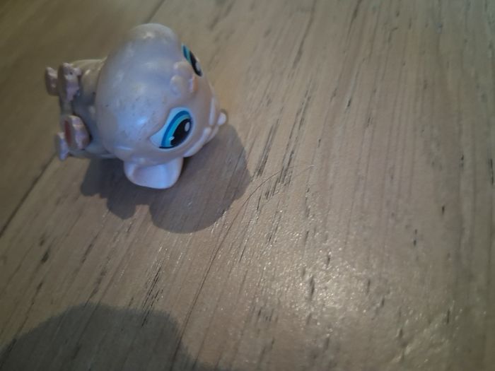 Petit chien jouet - photo numéro 5