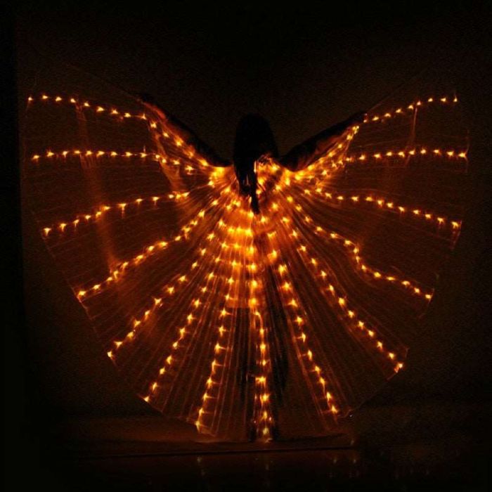 Aile scintillante lumineuse de performance - photo numéro 4