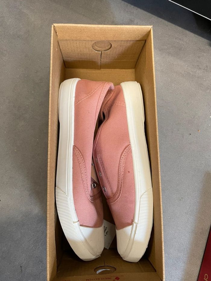 Tennis rose 37