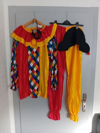 Déguisement Arlequin multicolore M/L