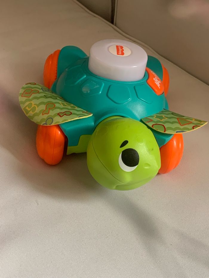 Linkymals tortue