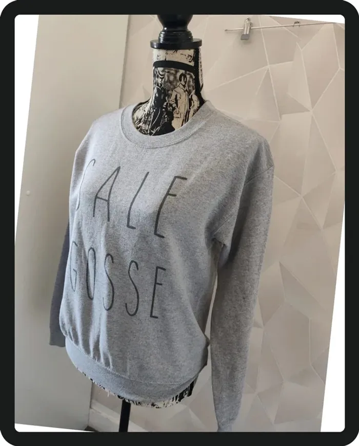 Sweat gris - photo numéro 2