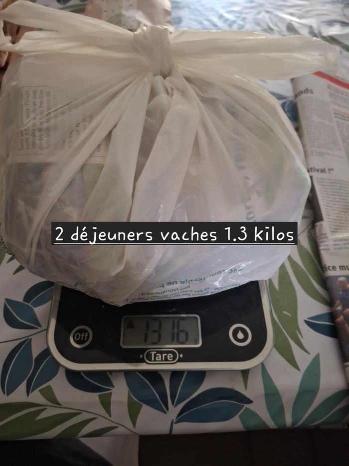 Lot de 2 dejeuners - photo numéro 7