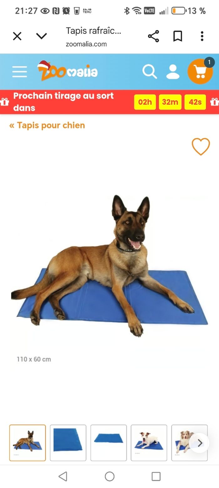 Tapis rafraîchissant pour chien - photo numéro 3