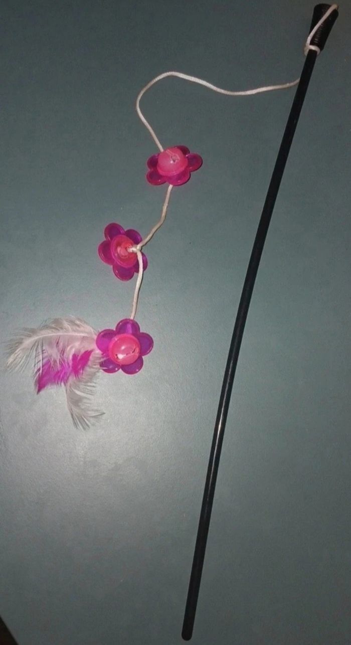 Canne à pêche pour chats/chatons