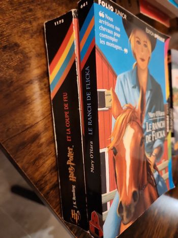 livre : Folio Junior