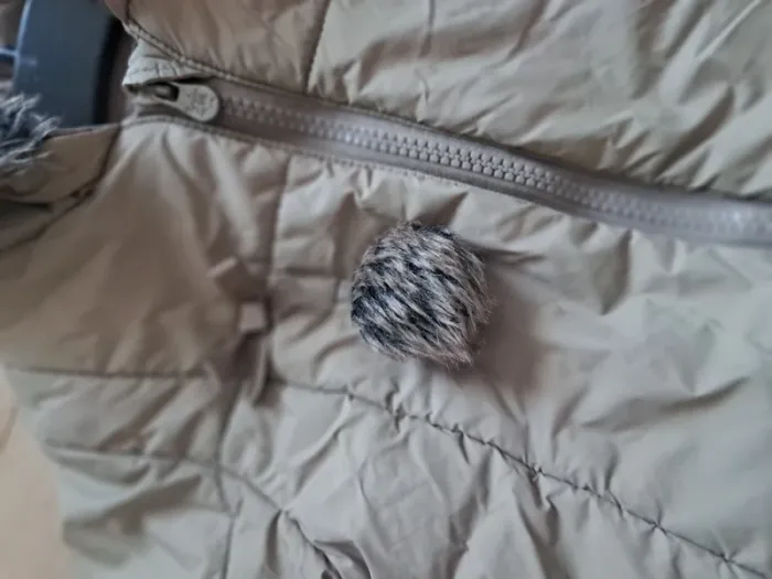 Manteau Grain de blé 36m - photo numéro 3