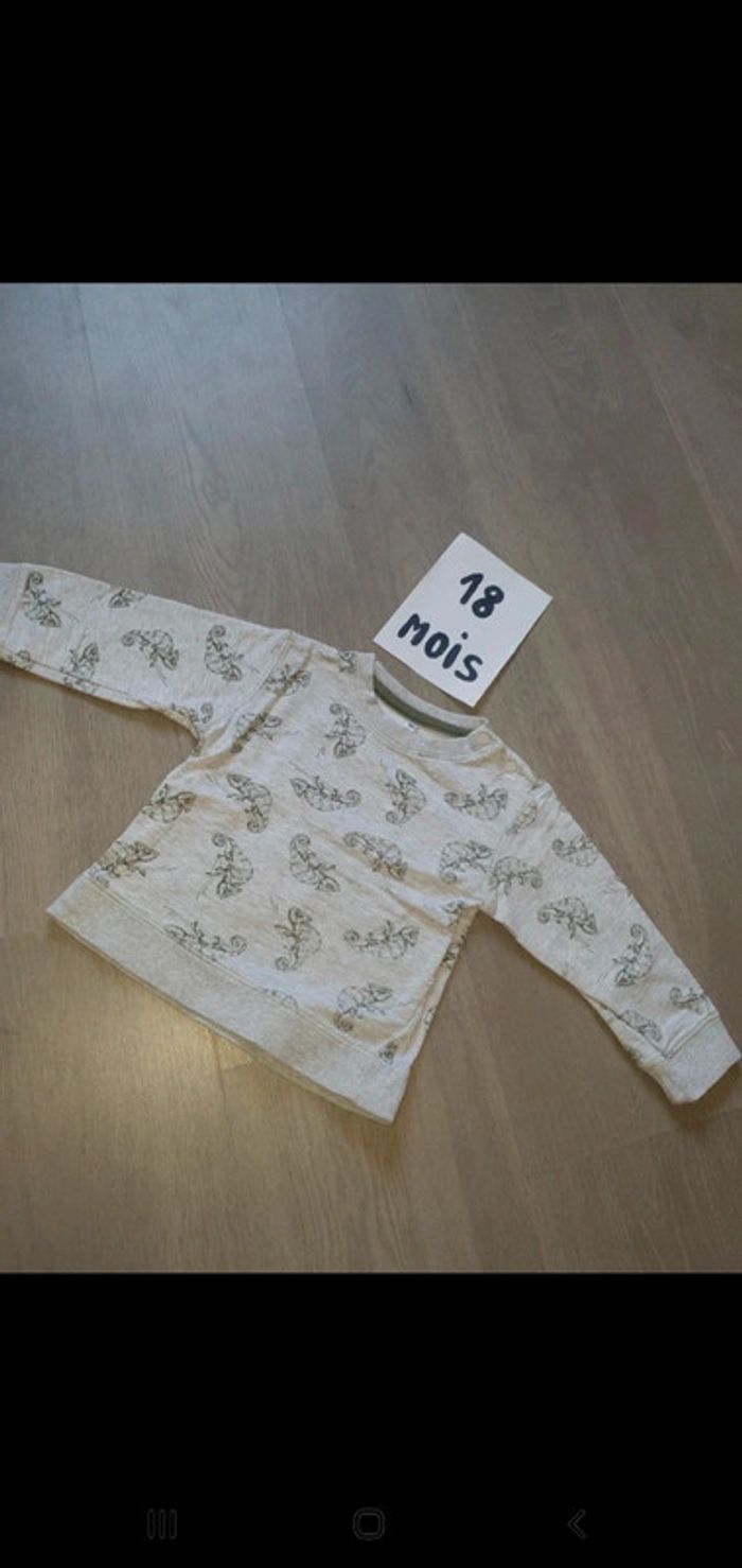 Pull 18mois garçon