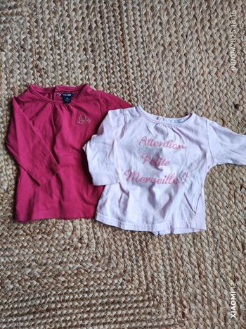 Lot 2 tee shirt 6 mois ML