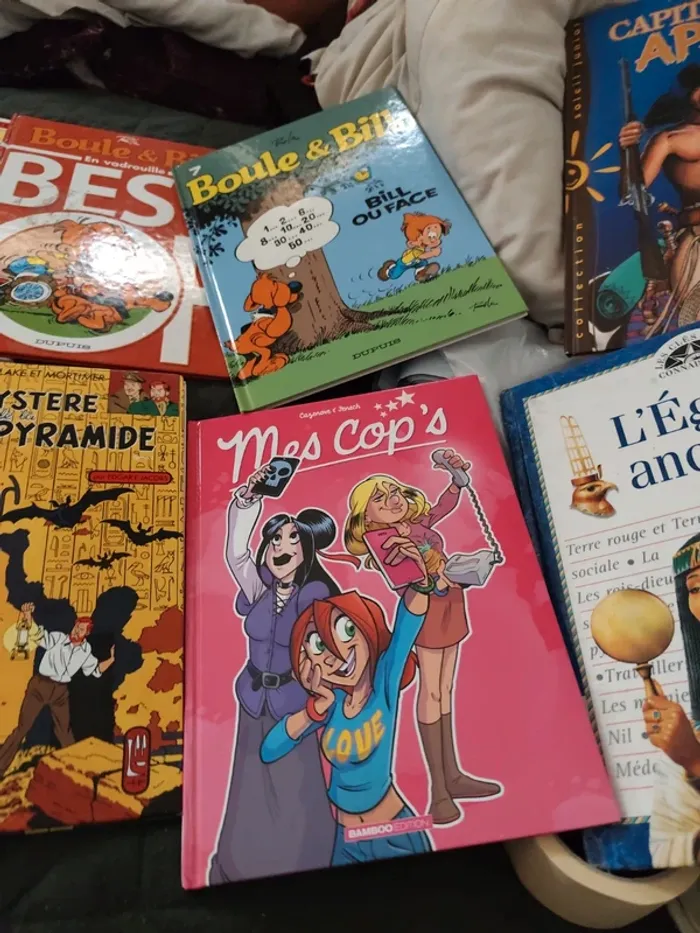 Lot de livres - photo numéro 4