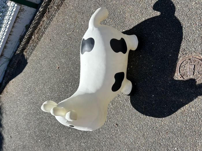 vache sauteur - photo numéro 2