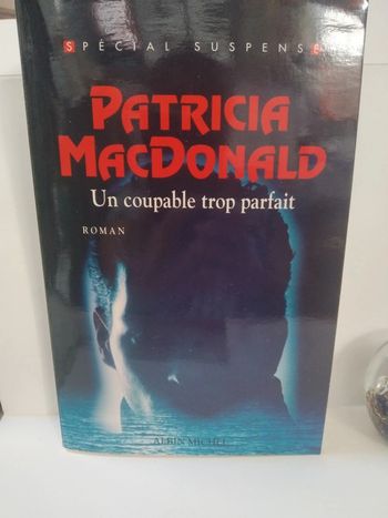 Un coupable trop parfait