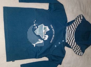 Lot de 2 tee-shirts manches longues Taille 36 mois