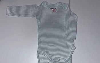 Body